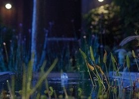 In-Lite verlichting