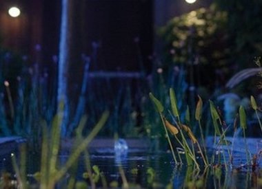 In-Lite tuinverlichting