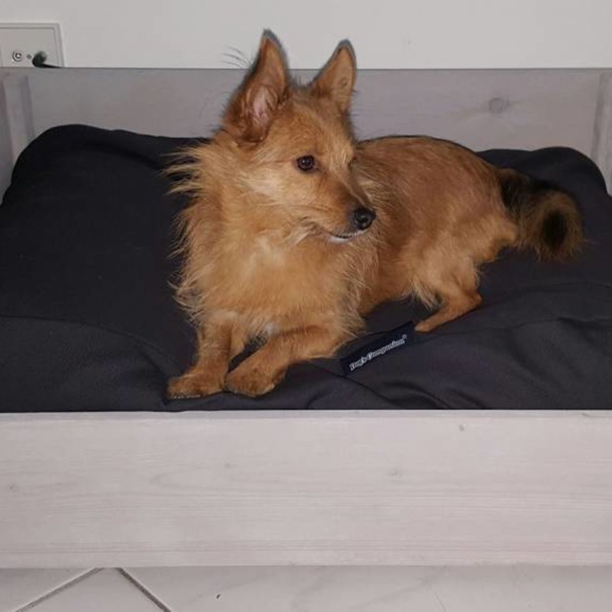 Steigerhouten hondenmand