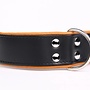 Leren hondenhalsband