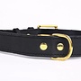 Leren hondenhalsband gold, exclusive