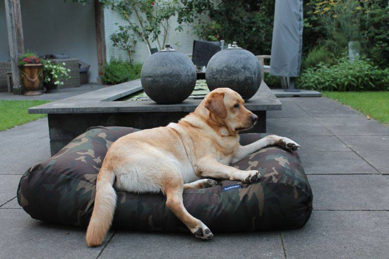 Dog's Companion® Hondenbed army extra small