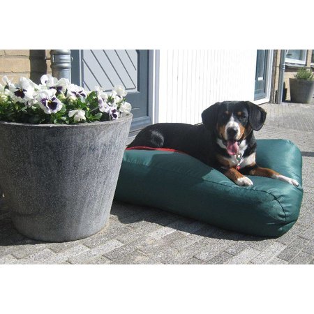 Dog's Companion® Hondenbed groen vuilafstotende coating medium