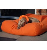 Dog's Companion® Losse hoes oranje extra small