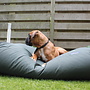 Hondenbed hunting coating large