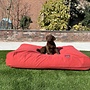 Hondenbed steenrood extra small