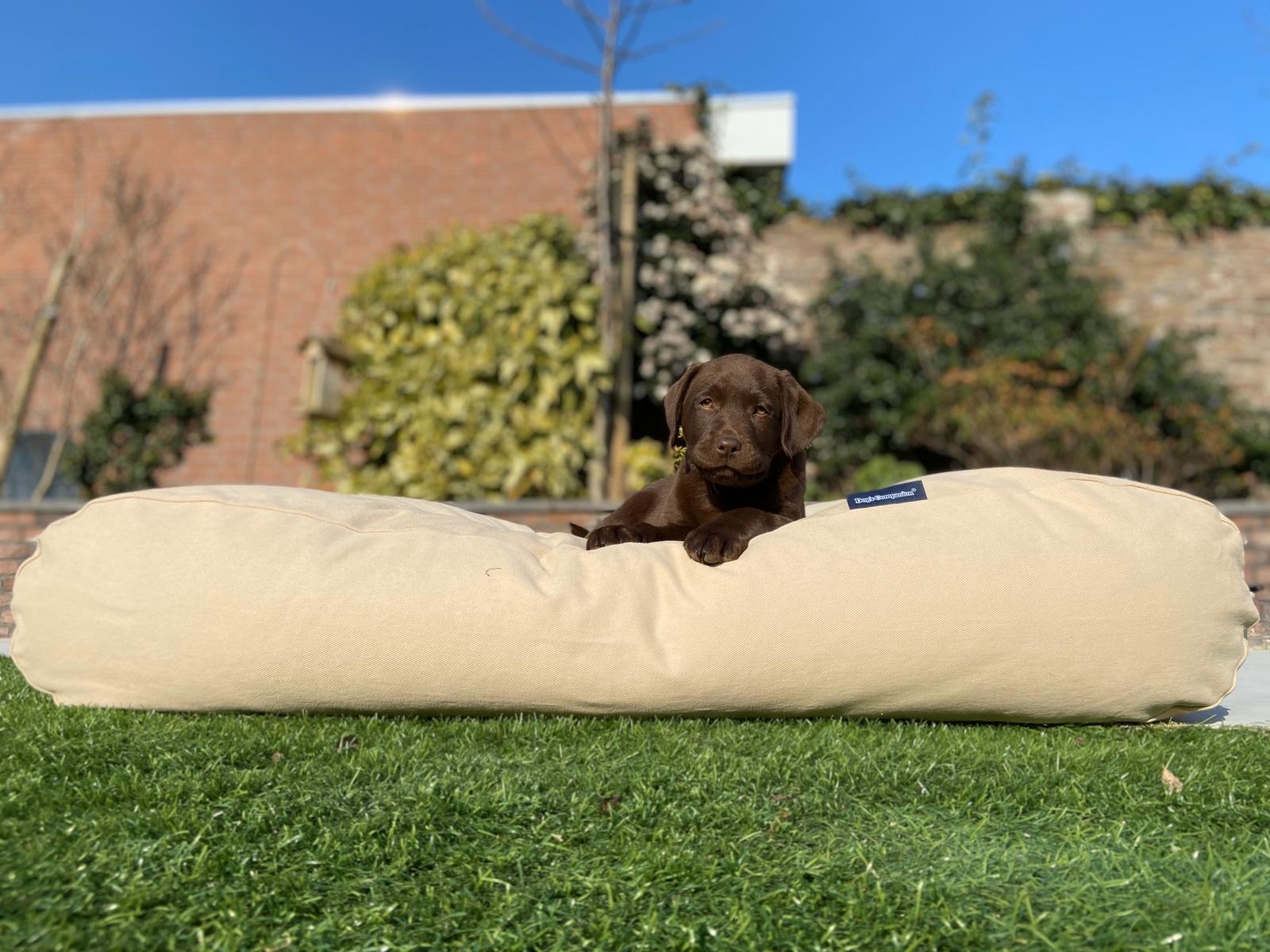 Dog's Companion® Hondenkussen beige