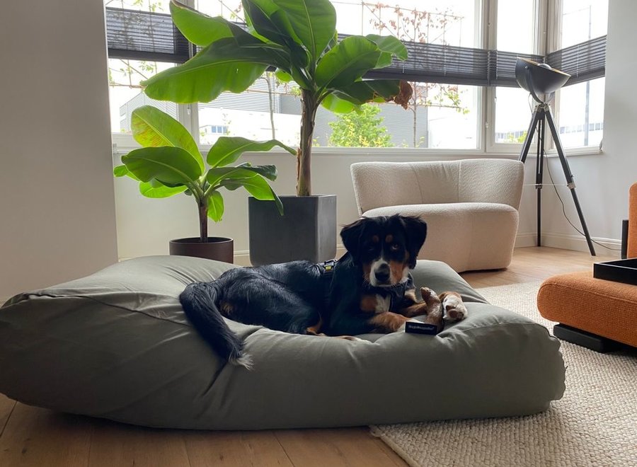 Basalt canvas hondenkussen | Groen orthopedisch hondenbed met wasbare hoes en EPS-vulling | Dog's Companion