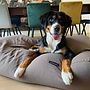Hondenbed taupe (meubelstof) small