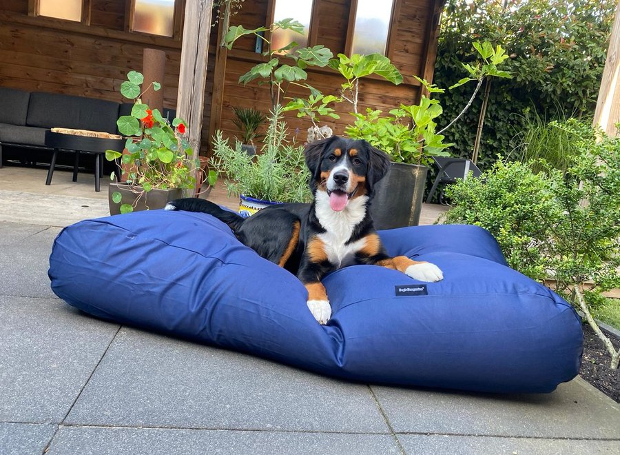 Hondenbed donkerblauw vuilafstotende coating large