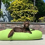 Hondenbed lime extra small