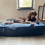 Hondenbed strong midnight blue velvet extra small