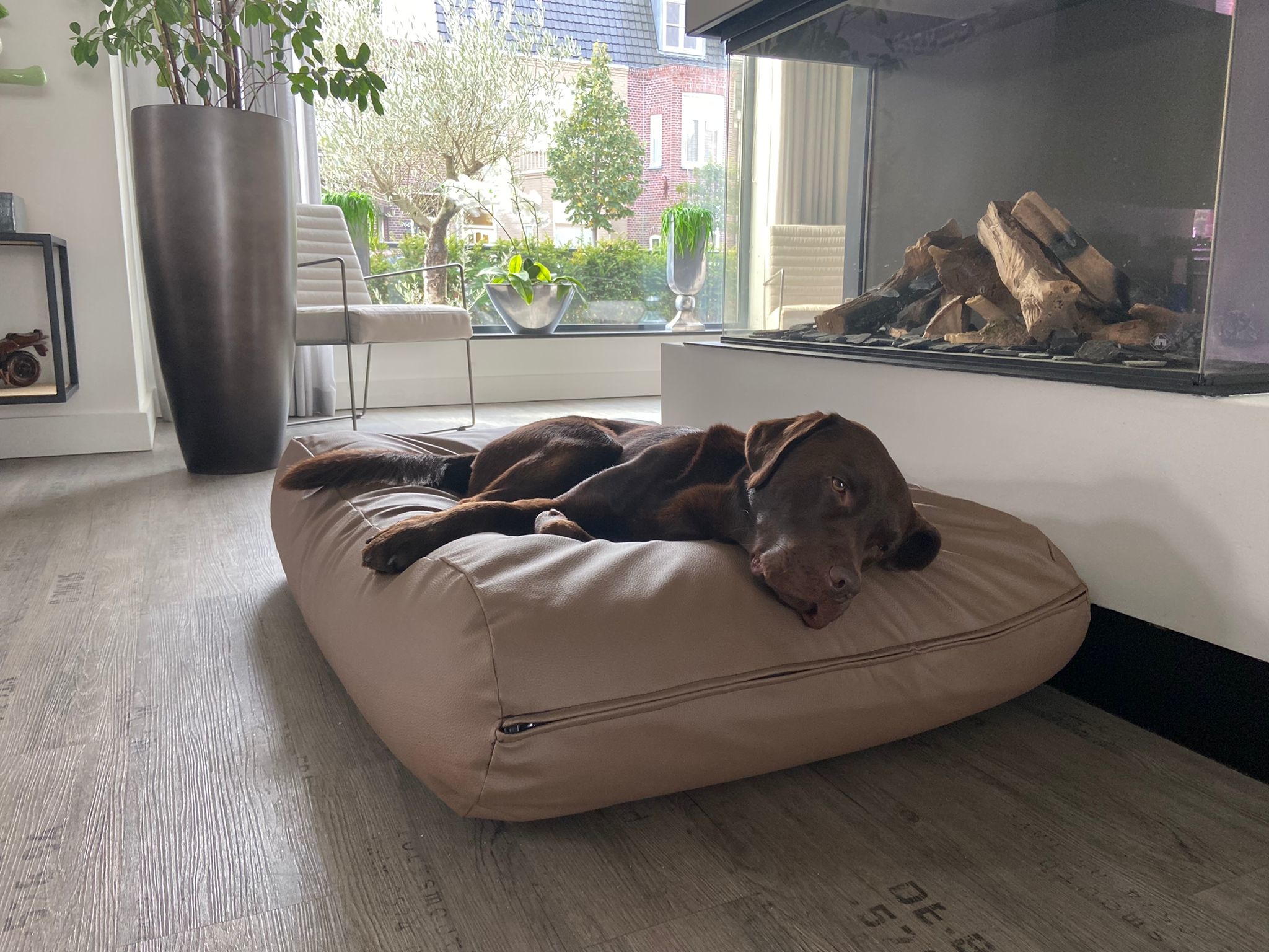 Dog's Companion® Hondenbed taupe leather look extra small