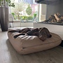 Hondenbed taupe leather look small