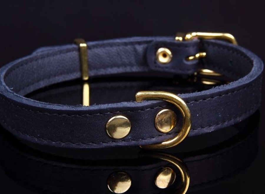 Leren hondenhalsband gold, exclusive