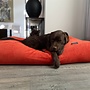 Hondenbed oranje ribcord