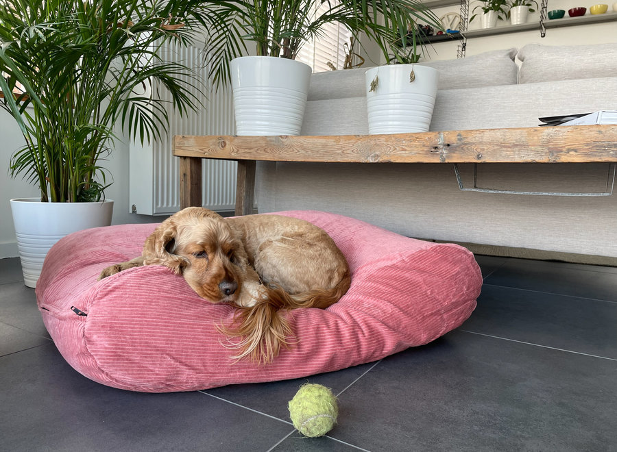 Hondenbed oud roze ribcord superlarge