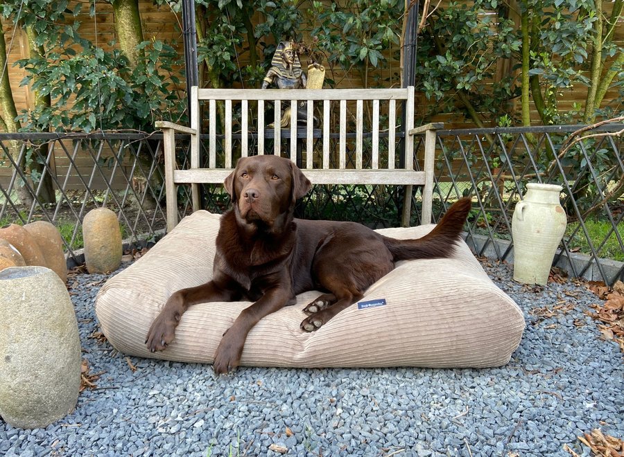 Lever double ribcord hondenkussen met EPS vulling | orthopedisch hondenbed wasbaar en navulbaar | Dog's Companion