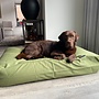 Hondenbed olive