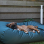 Hondenbed groen vuilafstotende coating