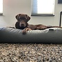 Hondenbed muisgrijs leather look small