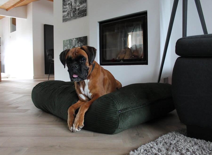 Hunting double ribcord hondenkussen | Donkergroen orthopedisch hondenbed met EPS vulling en wasbare hoes | Dog's Companion