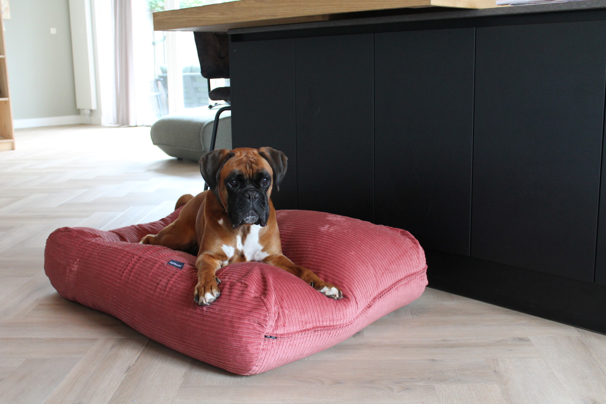 Dog's Companion® Hondenbed oud roze double ribcord medium