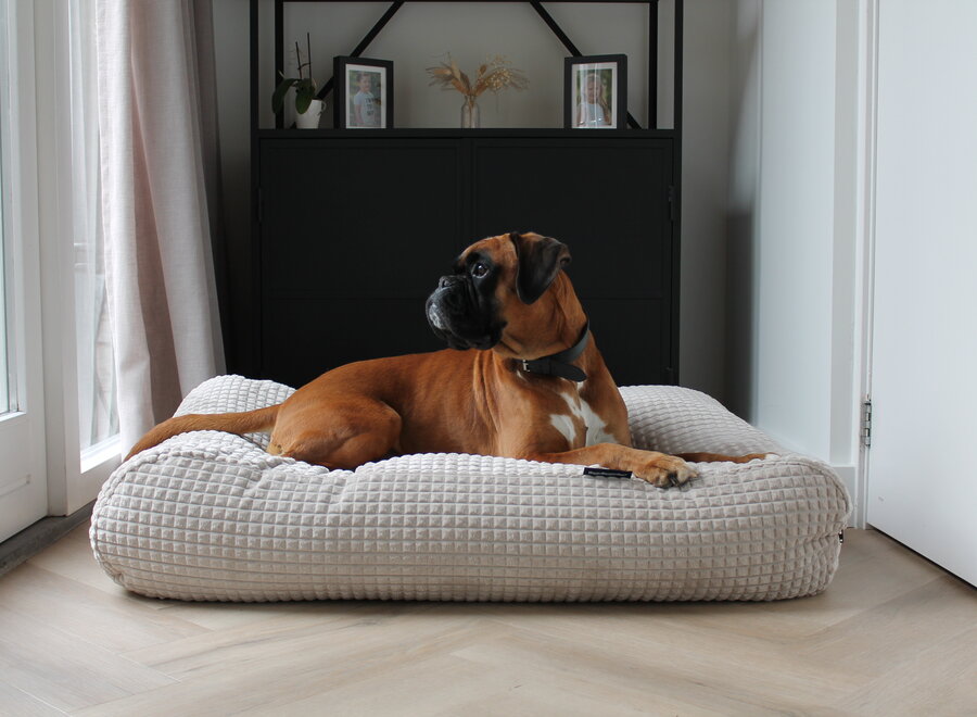 Little Square Soft Sand Hondenkussen | Luxe Zandkleurig Velours Hondenbed met EPS-Parels | Dog's Companion