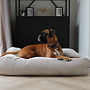 Little Square Soft Sand Hondenkussen | Luxe Zandkleurig Velours Hondenbed met EPS-Parels | Dog's Companion