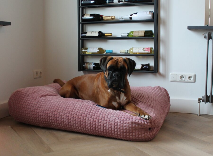 Dog’s Companion Soft Pink Velours Hondenkussen | Orthopedisch, Wasbaar, Navulbaar & Duurzaam