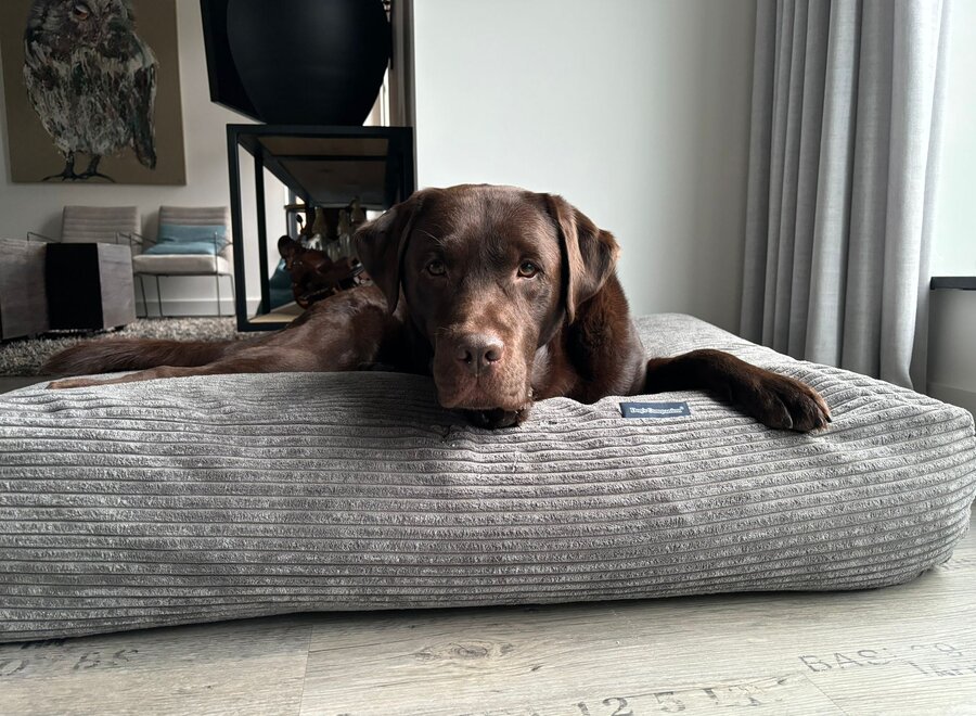 Dog’s Companion Grijs Giant Ribcord Hondenkussen Muisgrijs | Orthopedisch, Wasbaar, Navulbaar & Duurzaam