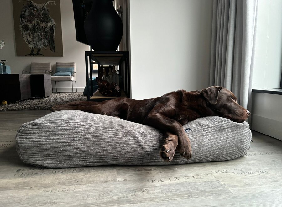 Dog’s Companion Grijs Giant Ribcord Hondenkussen Muisgrijs | Orthopedisch, Wasbaar, Navulbaar & Duurzaam