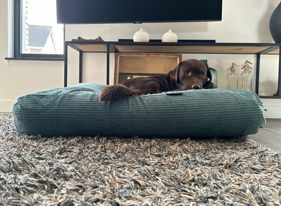 Dog's Companion Oud Groen Double Ribcord Hondenkussen | Wasbaar, Navulbaar & Ondersteunend