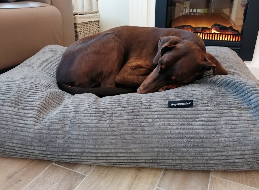 Dog’s Companion Grijs Giant Ribcord Hondenkussen Muisgrijs | Orthopedisch, Wasbaar, Navulbaar & Duurzaam