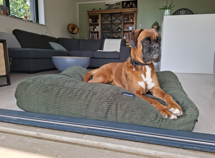 Hunting double ribcord hondenkussen | Donkergroen orthopedisch hondenbed met EPS vulling en wasbare hoes | Dog's Companion