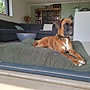 Hunting double ribcord hondenkussen | Donkergroen orthopedisch hondenbed met EPS vulling en wasbare hoes | Dog's Companion
