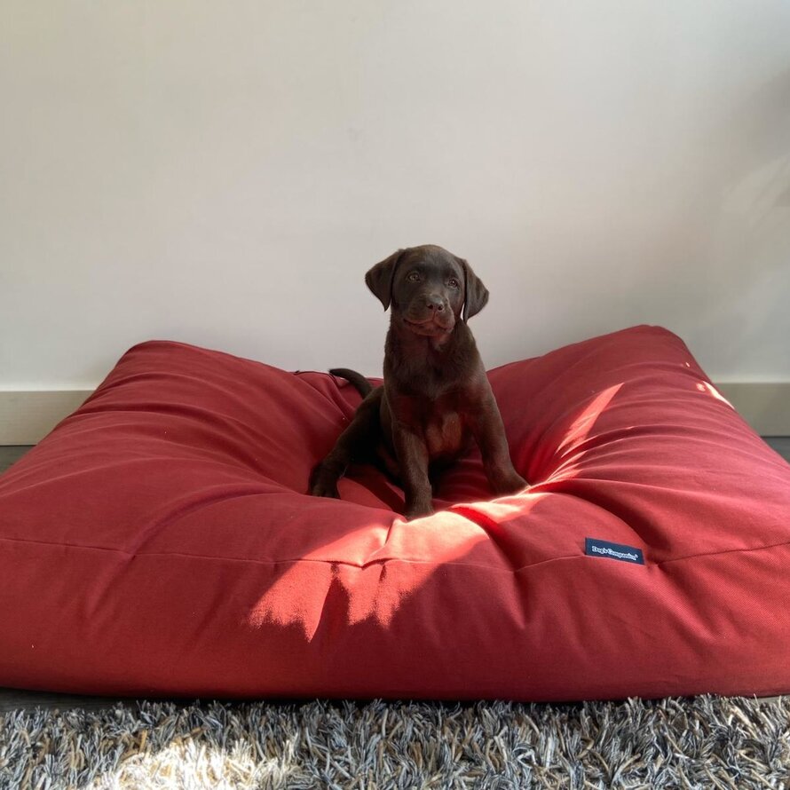 Outlet hondenkussens