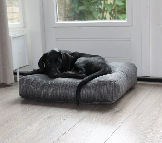 Hondenkussens (bench)