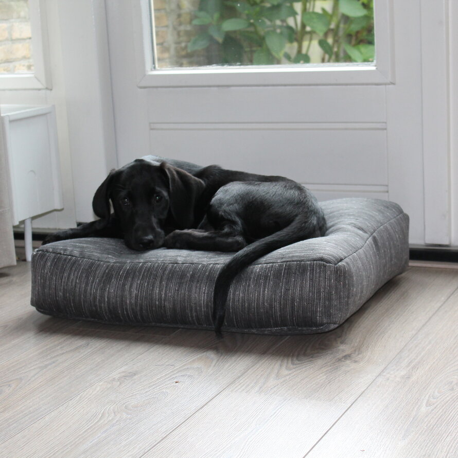 Hondenkussens (bench)