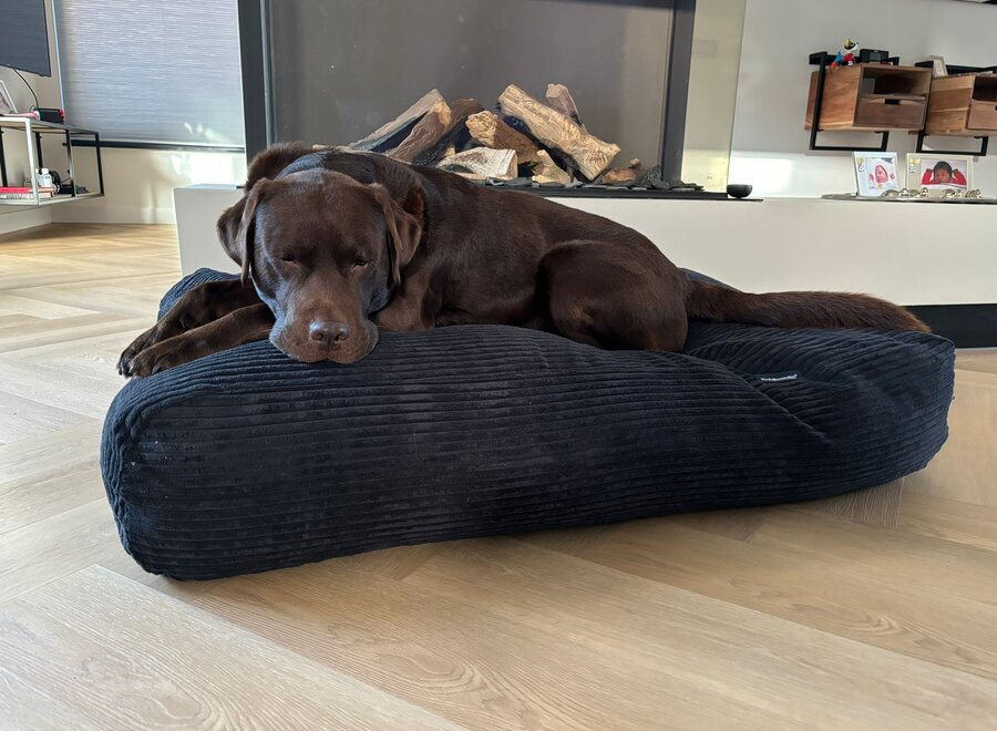 Dog’s Companion Zwart Giant Ribcord Hondenkussen | Orthopedisch, Wasbaar, Navulbaar & Duurzaam
