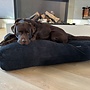 Hondenbed black giant ribcord large