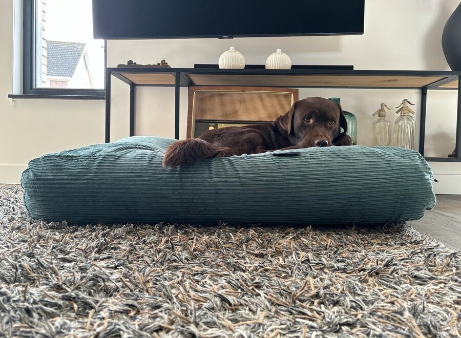 Hondenbed oud groen double ribcord superlarge