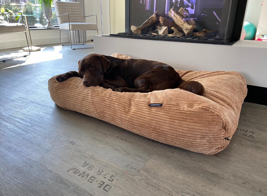 Dog’s Companion Camel Giant Ribcord Hondenkussen | Orthopedisch, Wasbaar, Navulbaar & Duurzaam