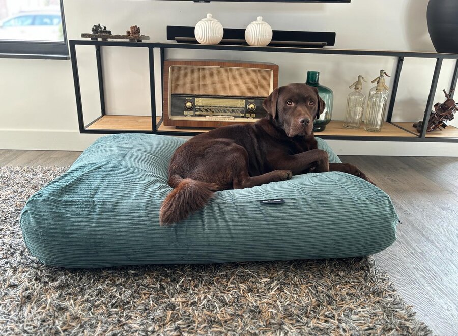 Hondenbed oud groen double ribcord superlarge