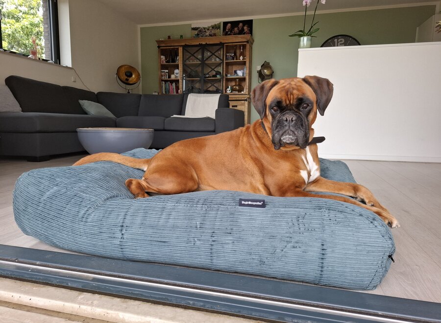 Hondenbed oud groen double ribcord superlarge