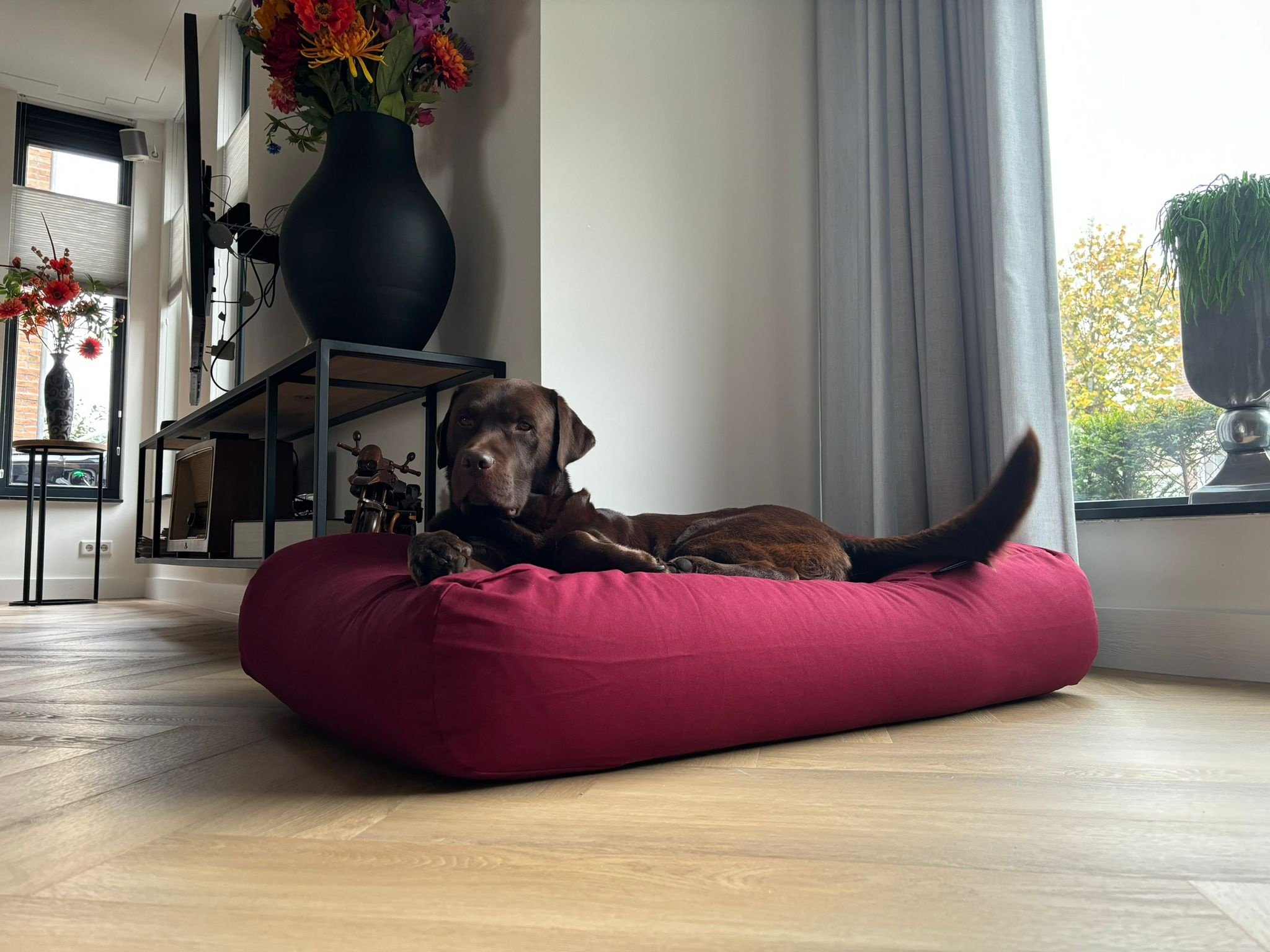 Dog's Companion® Hondenbed wijnrood large