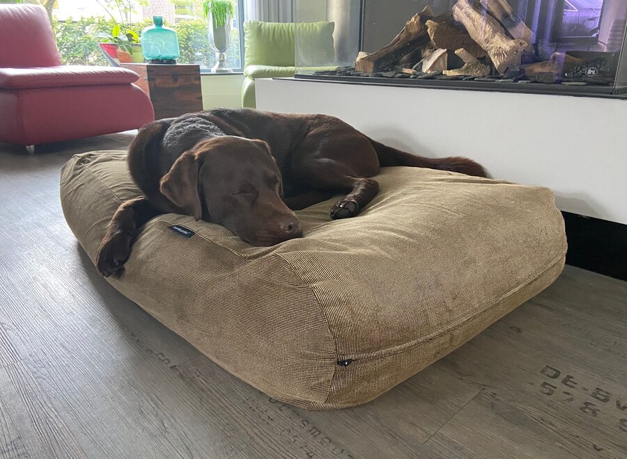 Hondenbed duo gold ribcord small