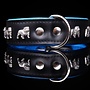 Leren halsband Engelse Bulldog
