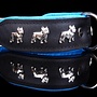 Leren halsband Franse Bulldog
