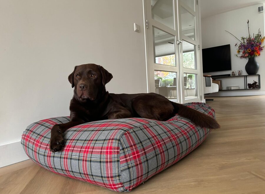 Hondenbed scottish grey medium
